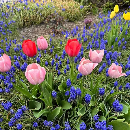 Am Sonnigen Suedhang