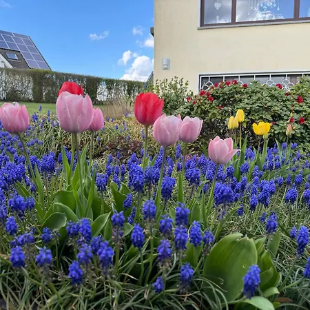 Am Sonnigen Suedhang Lejlighed Lorscheid