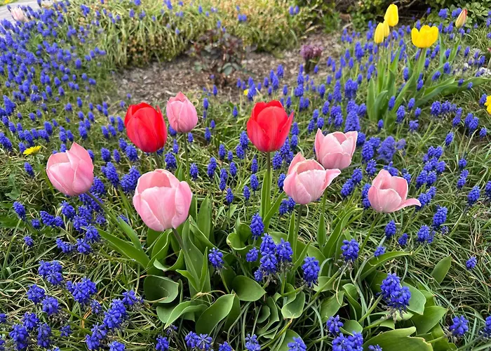 Am Sonnigen Suedhang