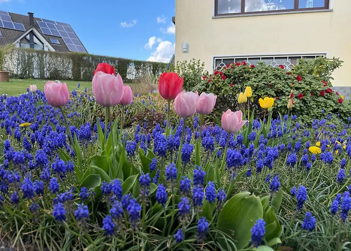 Am Sonnigen Suedhang 公寓 Lorscheid